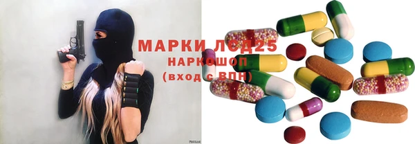 apvp Алзамай