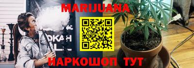 сатива Краснодар