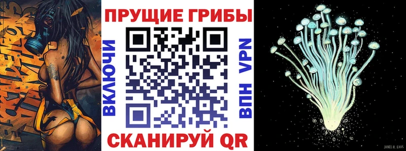 blacksprut маркетплейс  купить закладку  Камень-на-Оби  Галлюциногенные грибы MAGIC MUSHROOMS 