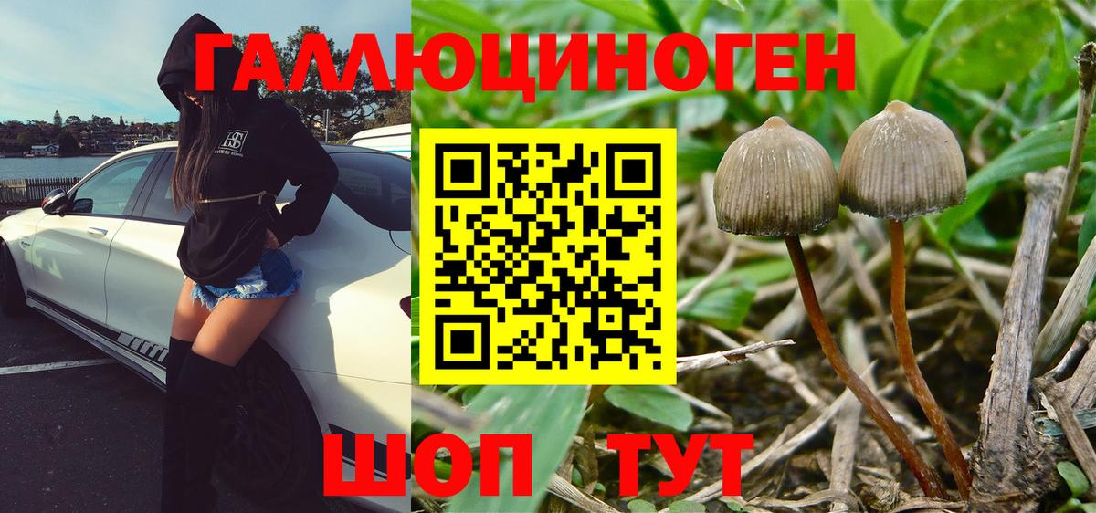Псилоцибиновые грибы ЛСД  Галлюциногенные грибы MAGIC MUSHROOMS  Вход с VPN  Камень-на-Оби 